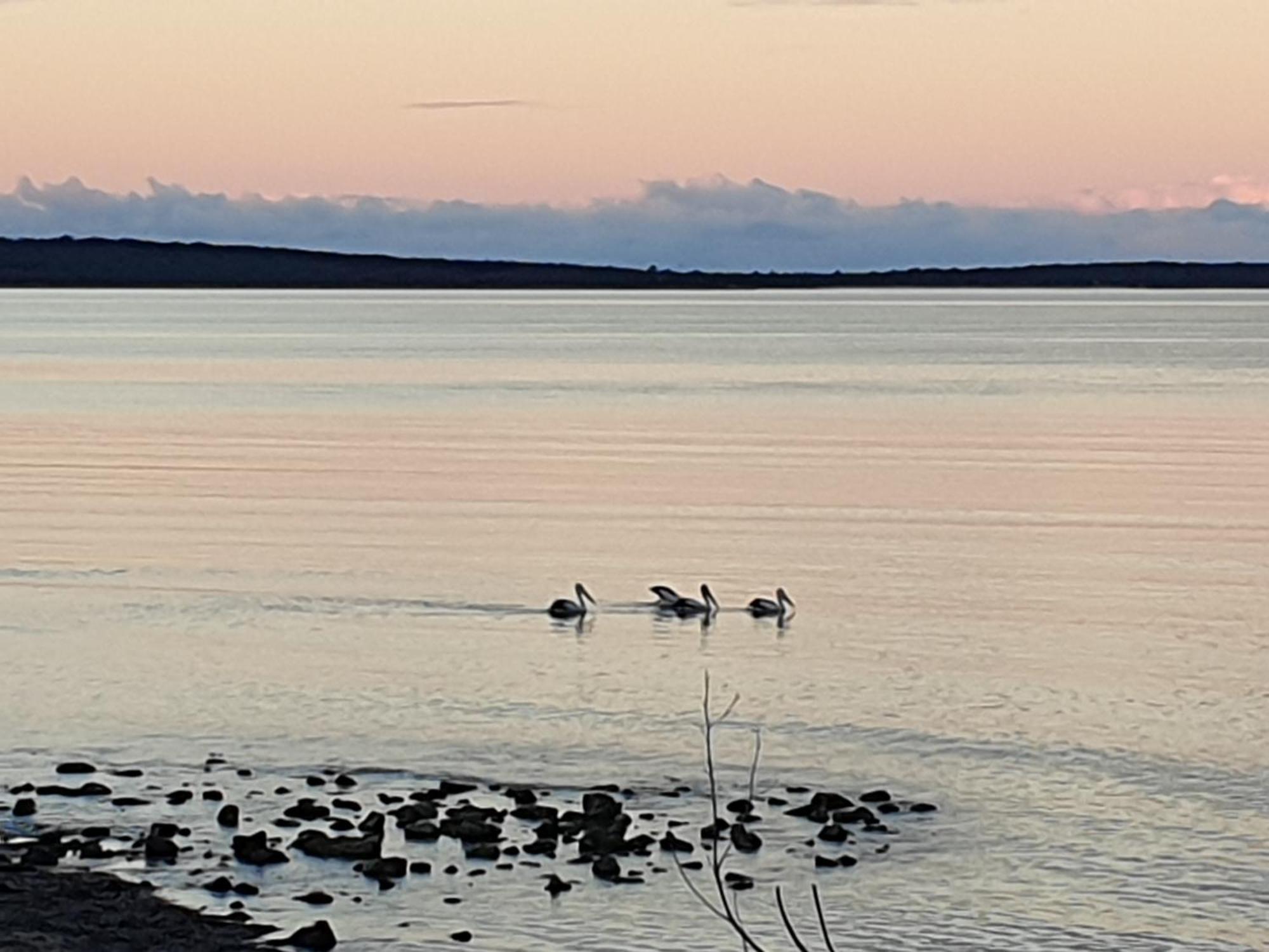 Port Lincoln Caravan Park North Shields Eksteriør billede